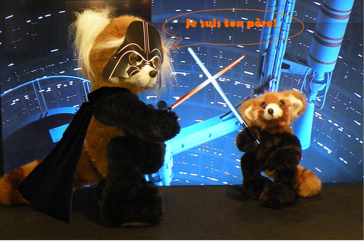 nounours star wars